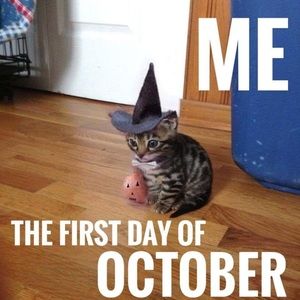 Meet your Posher, Kelleigh